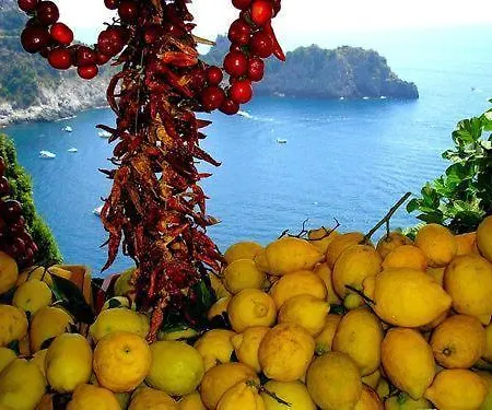 בית הארחה Maison Raphael